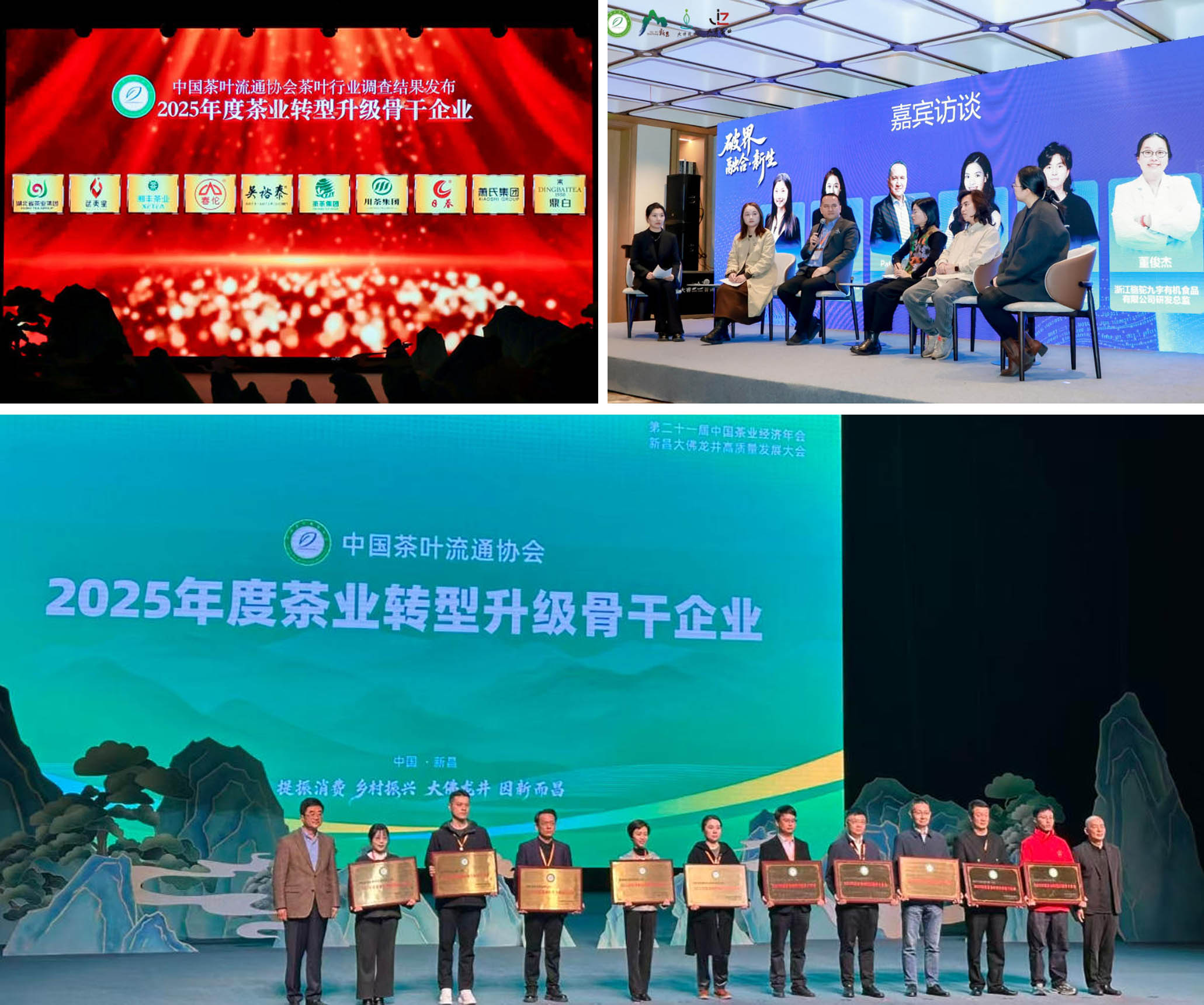 浙茶集团在第二十一届中国茶业经济年会上斩获多项荣誉