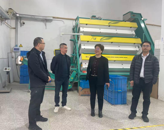 中华全国供销合作总社杭州茶叶研究所专家团队莅临狮峰茶业公司调研
